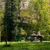 Senioren im Schlosspark