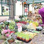 Herbstmarkt 2014