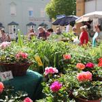 April: Blumen, Kräuter und Gewürze fanden auch bei der diesjährigen Köthener Gartenschau viel Zuspruch.