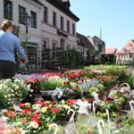 April: Die Köthener Gartenschau verwandelt die Innenstadt zwei Tage lang in ein buntes Blumenmeer.