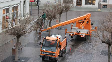 Mit Wasserdruck wurde den Schädlingen zu Leibe gerückt.