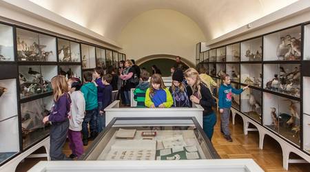 Mitte Oktober können Besucher das Naumann-Museum letztmalig besuchen.