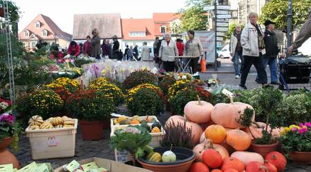 Reichlich Besucher nutzen die Gelegenheit für einen Bummel über den Herbstmarkt.