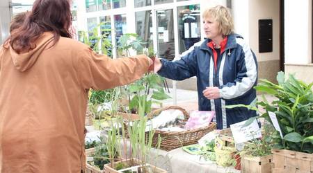 Herbstmarkt 2014