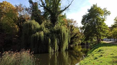 Der Schlossgraben soll am 15. Oktober gemeinschaftlich gereinigt werden.