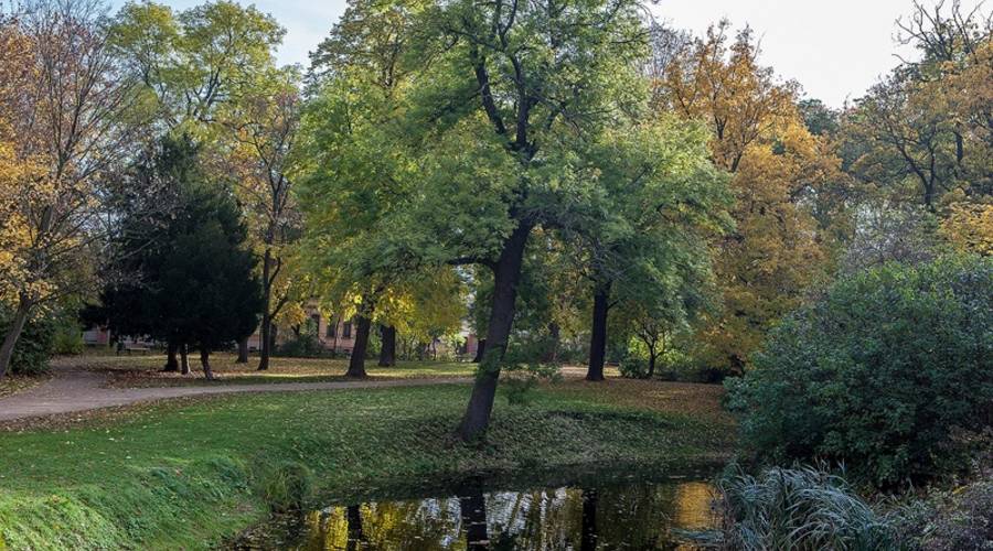 Schlosspark Köthen