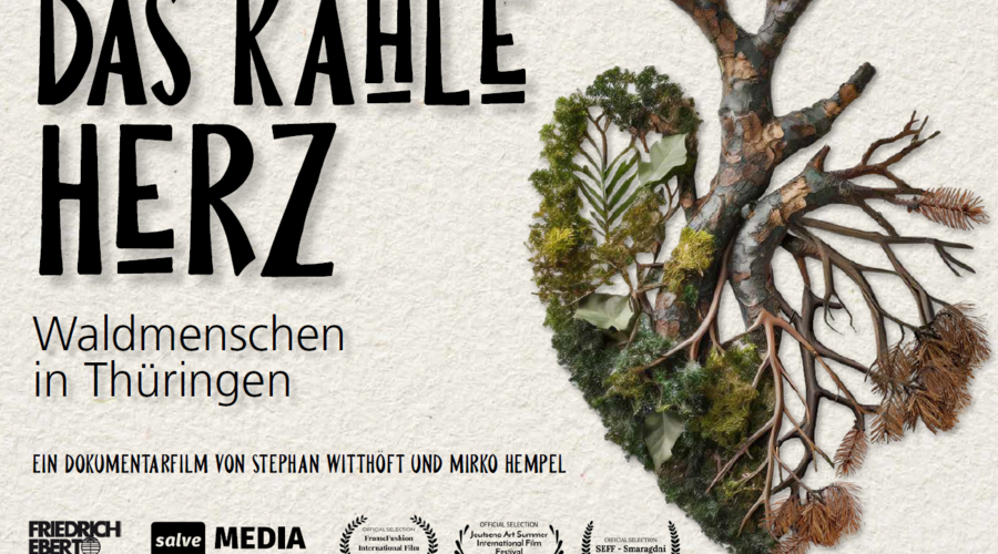 das_kalte_herz_film.png