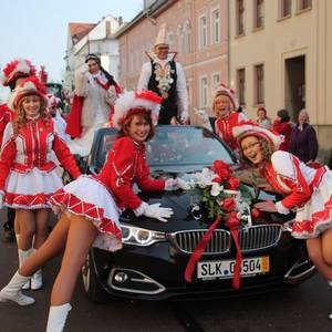 Rosenmontag 2015