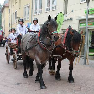 Festumzug durch die Innenstadt.