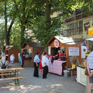 Homöopathiesommer