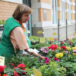 Geranien, Begonien und mehr - wer noch was für den heimischen Garten suchte, wurde schnell fündig.