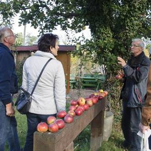 Gelegenheit um miteinander ins Gespräch zu kommen, gab es zur Obstausstellung reichlich.