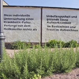 Mauer Hirtengasse (inzwischen abgerissen): Diese individuelle Untersuchung eines Krankheits-Falles verlangt von dem Künstler nichts als Unbefangenheit und gesunde Sinne, Aufmerksamkeit im Beobachten und Treue im Aufzeichnen.