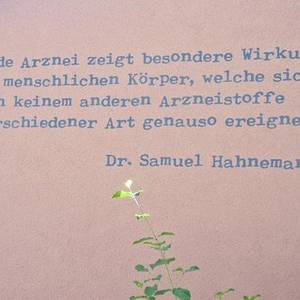 Springstraße 27: Jede Arznei zeigt besondere Wirkung im menschlichen Körper, welche sich von keinem anderen Arzneistoffe verschiedener Art genauso ereignen.