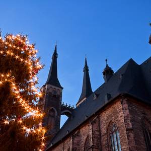 Weihnachtsbäume wird es auch in diesem Jahr geben.