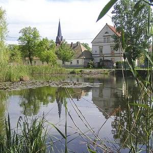 Dorfteich in Baasdorf