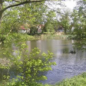 Teich in Baasdorf