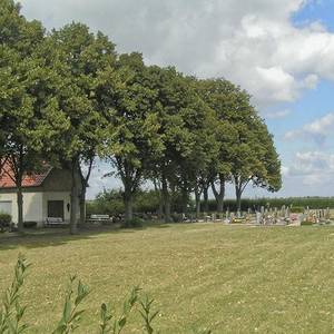 Blick auf den Arensdorfer Friedhof.
