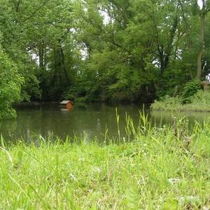 Teich direkt am Gut Hohsdorf.