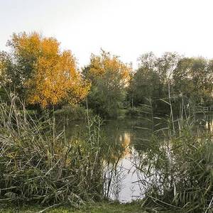 Park und Teich in der Wenndorfer Straße.