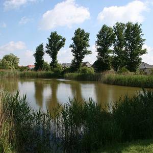 Teich in Großwülknitz an der Siedlung 