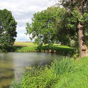 Teich in Zehringen.