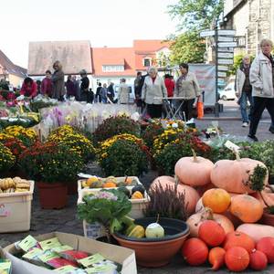 Reichlich Besucher nutzen die Gelegenheit für einen Bummel über den Herbstmarkt.