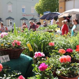 Blumen, Kräuter und Gewürze gab es reichlich zur Köthener Gartenschau.