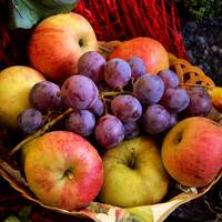 fruit-g6e9ae2a5f_1920.jpg
