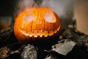 https://www.koethen-anhalt.de/var/cache/thumb_50590_1233_1_300_200_r4_jpeg_halloween_g175fe87d5_1920.jpeg