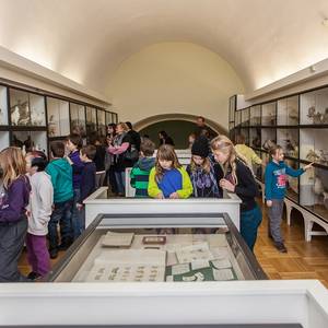 Mitte Oktober können Besucher das Naumann-Museum letztmalig besuchen.