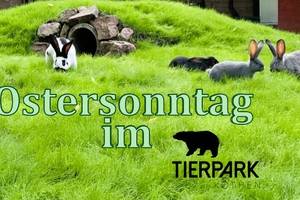 https://www.koethen-anhalt.de/var/cache/thumb_70816_1233_1_300_200_r4_jpeg_kanninchen2_text.jpeg