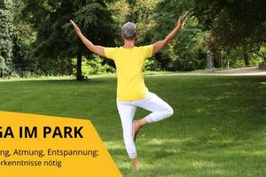 https://www.koethen-anhalt.de/var/cache/thumb_71838_1233_1_300_200_r4_jpeg_yoga_im.jpeg