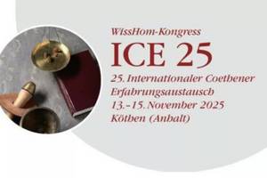 https://www.koethen-anhalt.de/var/cache/thumb_74448_1233_1_300_200_r4_jpeg_2511_logo_ice.jpeg